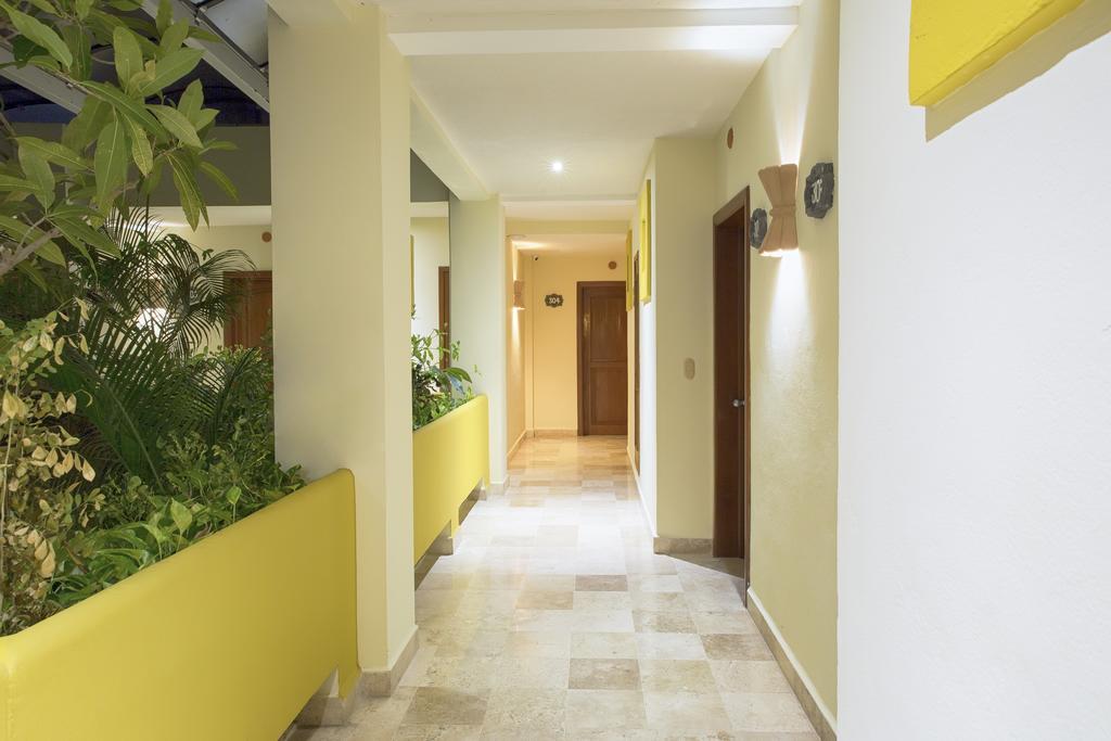 פלאייה דל כרמן Hotel Los Itzaes By 5Th Av מראה חיצוני תמונה